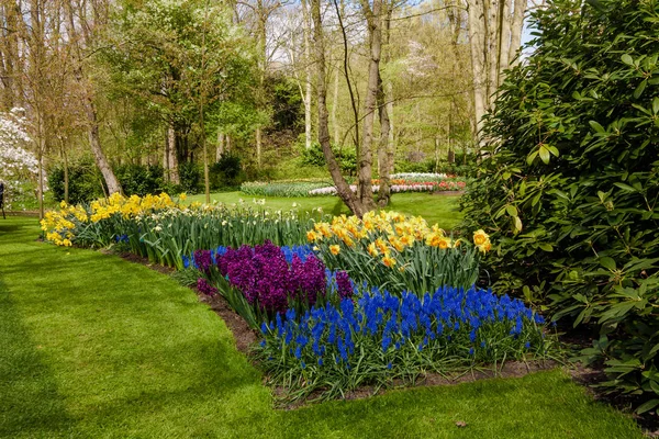 garden landscape.  garden in spring