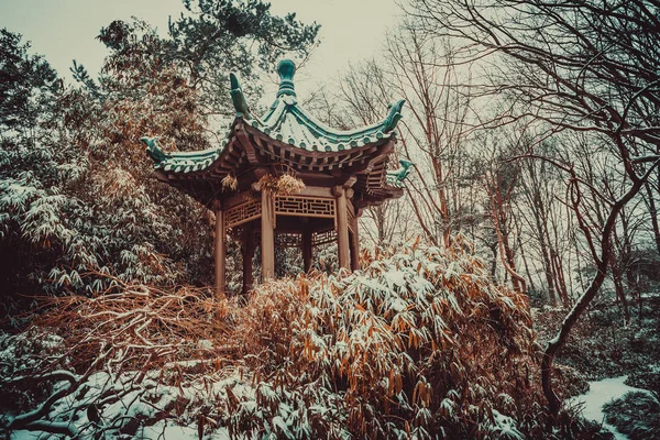 Pagoda Bílým Sněhem — Stock fotografie