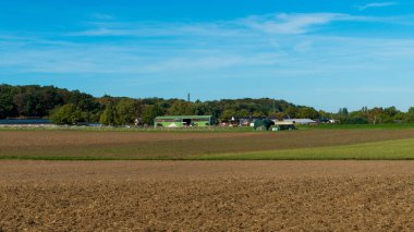 kırsal manzara. alan ve çim