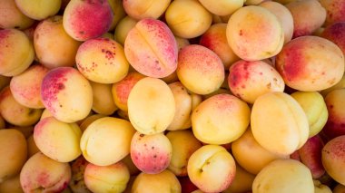 Bir grup olgun şeftali.