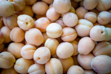 Bir grup olgun şeftali.