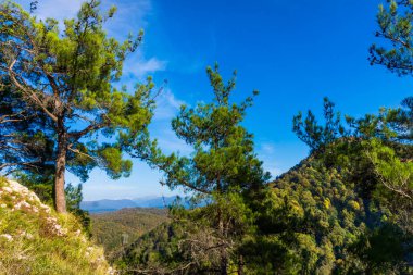 Sochi, Rusya Federasyonu yakınındaki dağ panoraması. Dağ orman ağaçları ile