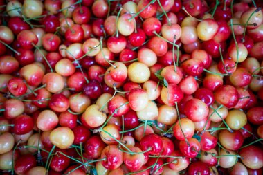 Kırmızı Kiraz arka plan. Kırmızı olgun lezzetli kiraz