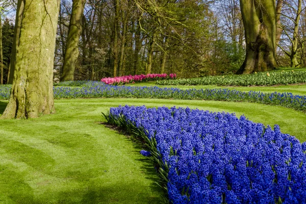 Kleurrijke Lente Formele Tuin — Stockfoto
