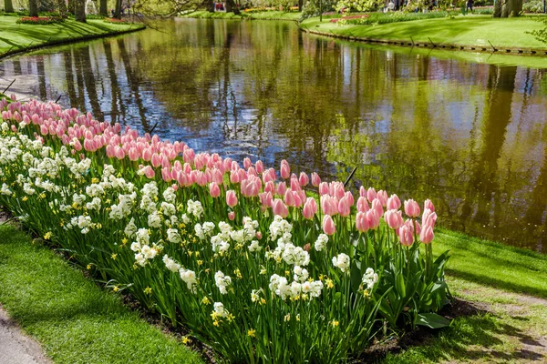 Tuinlandschap Tuin Het Voorjaar — Stockfoto