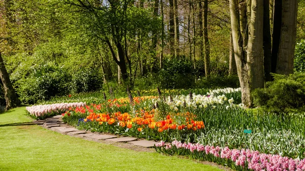 Paisaje Jardín Jardín Primavera —  Fotos de Stock