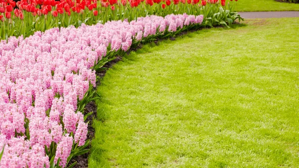 Colorido jardín formal de primavera — Foto de Stock