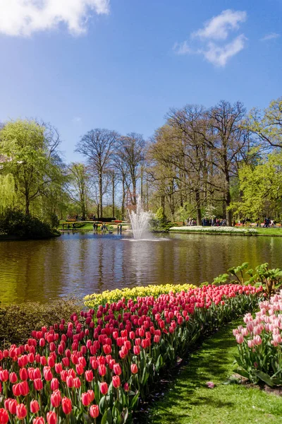 Kolorowy ogród formalny wiosna — Zdjęcie stockowe