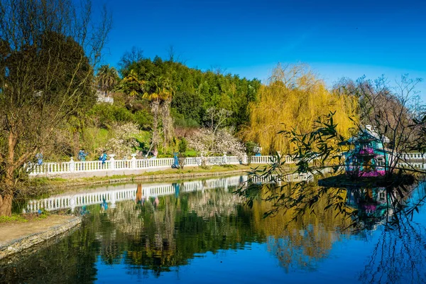 Étang dans un parc — Photo