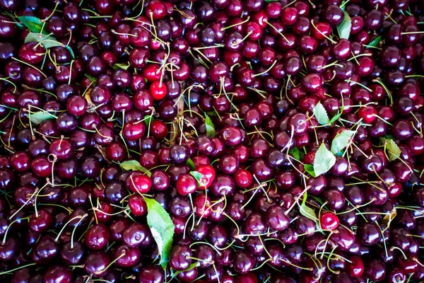 Frische rote Kirschen. reife Kirschen Hintergrund — Stockfoto