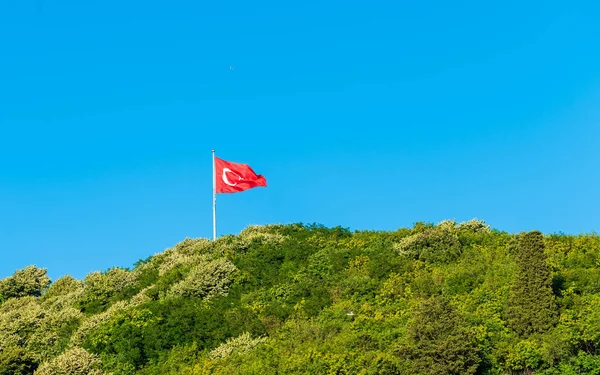 Τουρκία σημαία που φέρουν πάνω από δάσος — Φωτογραφία Αρχείου
