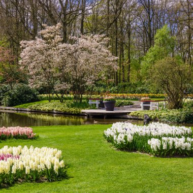 Renkli bahar resmi Bahçe