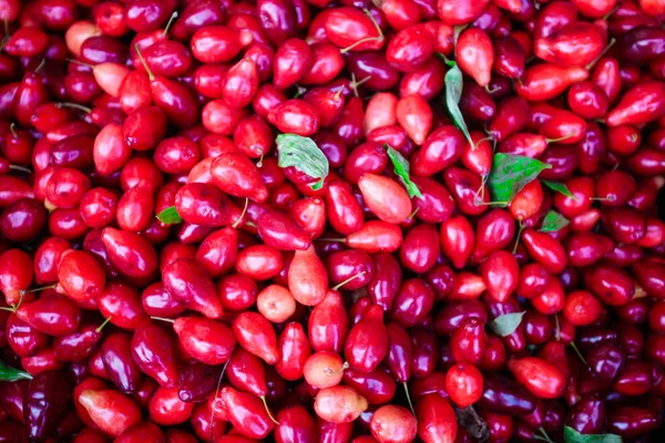 Sfondo di bacche di corniolo. mirtillo rosso — Foto Stock