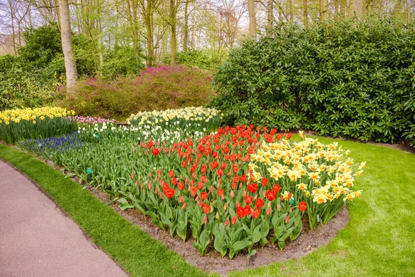 Tuinlandschap. tuin in het voorjaar — Stockfoto