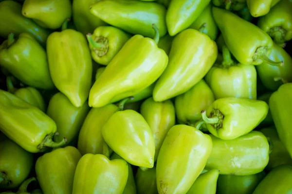Sweet green peppers.  Paprika peppers — Stock Photo, Image