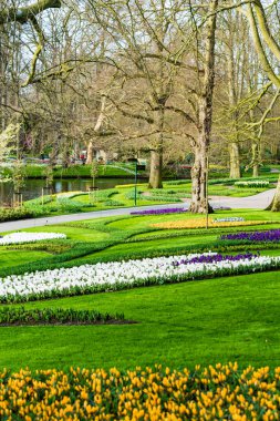 Hollanda 'daki Keukenhof Parkı 
