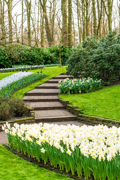 Gyönyörű kert tavasszal — Stock Fotó