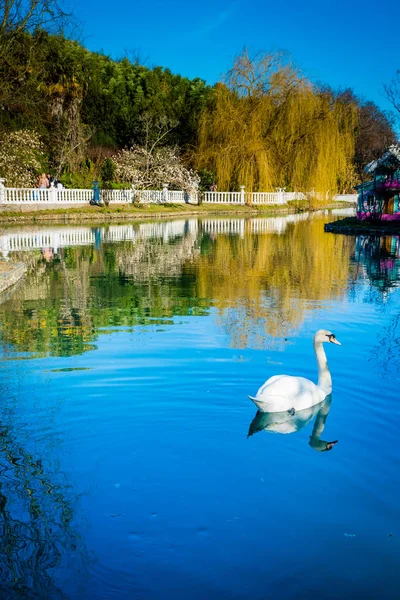 Parque Culturas do Sul 2 — Fotografia de Stock