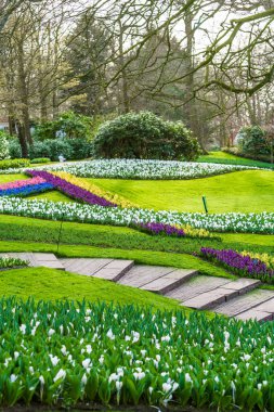 Hollanda 'daki Keukenhof Parkı 