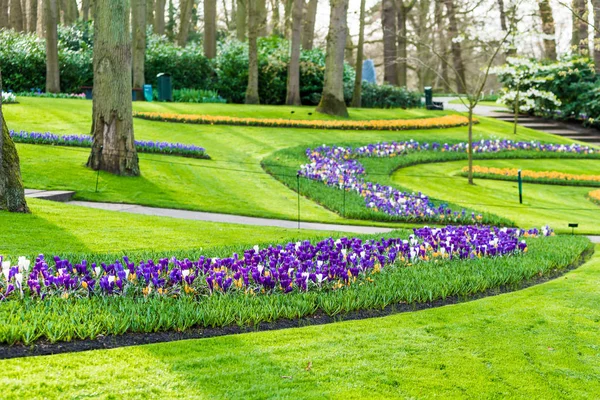 Keukenhof parque na Holanda — Fotografia de Stock