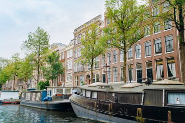 Amsterdam evinde yüzen