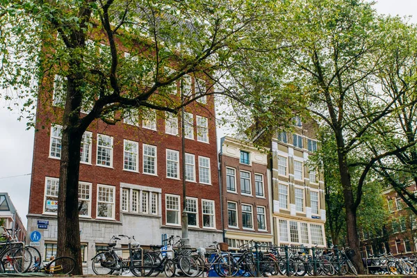 Amsterdam. Rues d'automne avec maisons traditionnelles. Paysage urbain avec vélos et arbre jaune. Pays Bas . — Photo