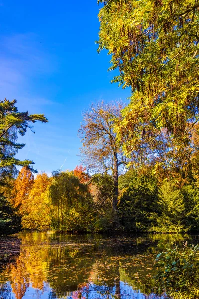 Herfst prachtig bos. Herfst landschap — Stockfoto