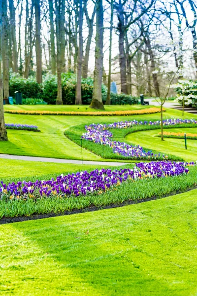 Beautiful garden in spring — Stock Photo, Image