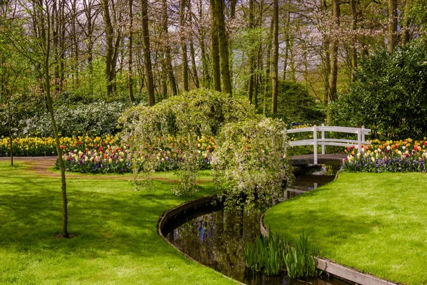 Barevné jarní formální zahrada — Stock fotografie