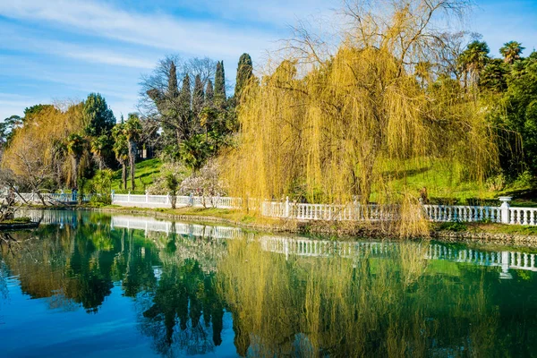 Étang dans un parc — Photo