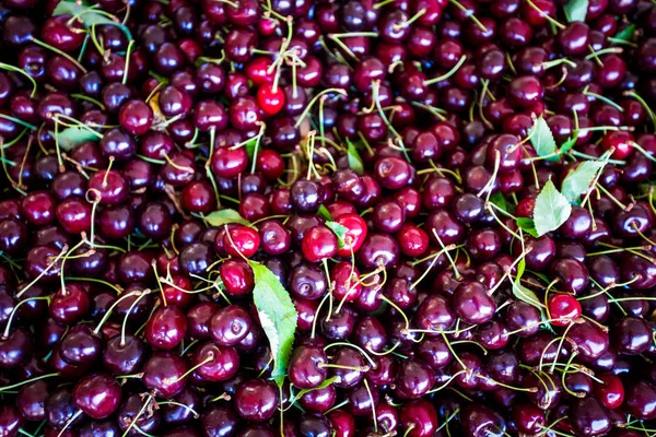 Fondo de cereza roja. Cerezas rojas maduras deliciosas — Foto de Stock