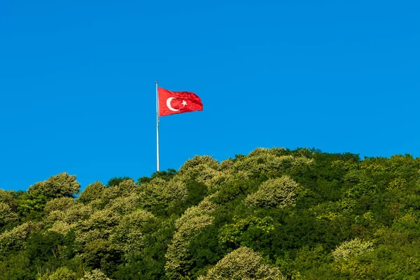 Bandera de Turquía ondeando sobre el bosque — Foto de Stock