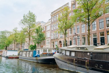 Amsterdam evinde yüzen