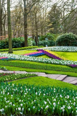 Baharda güzel bir bahçe