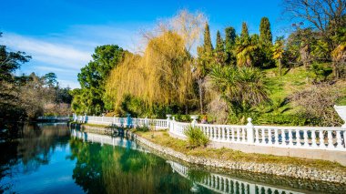 Sochi kuşlar güzel gölet. Rusya