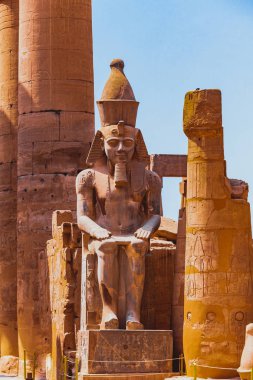 Tapınağın kalıntıları. Mısır