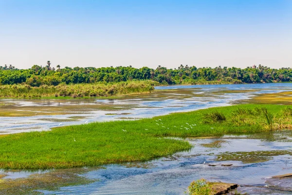 Rivière Nil en Egypte. La vie sur le Nil — Photo