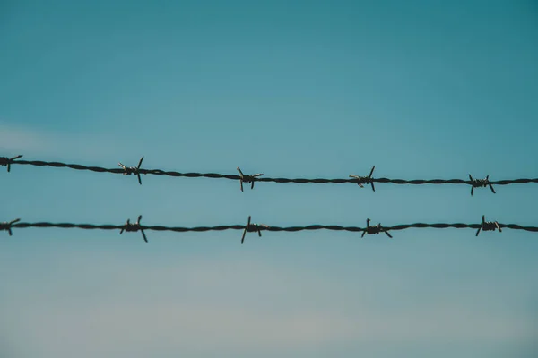 Arame farpado contra o céu azul — Fotografia de Stock