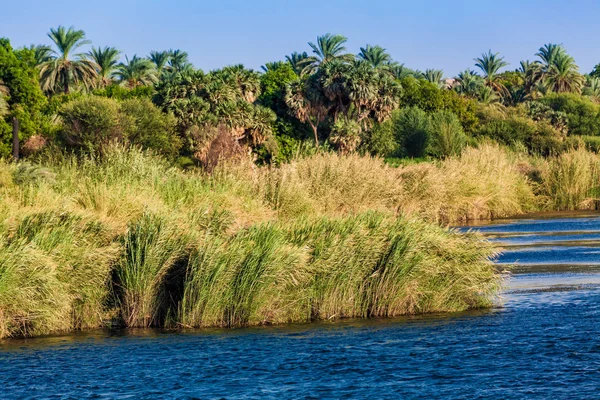 Vista do rio Nilo em Luxor, Egito — Fotografia de Stock