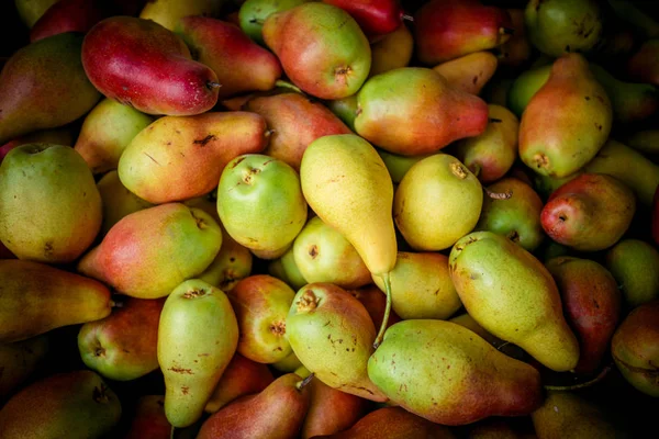 Färska päron som bakgrund, uppifrån — Stockfoto
