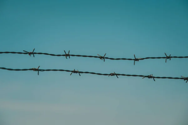 Arame farpado com céu azul — Fotografia de Stock