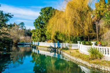 Sochi kuşlar güzel gölet. Rusya
