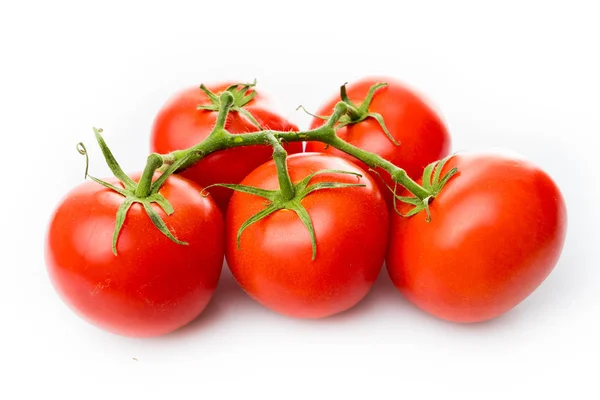 Tomato branch. Tomatoes isolated on white — Stock Photo, Image