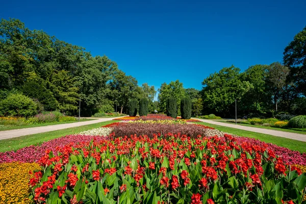 Uma vista de um gramado e jardim de flores. belo parque — Fotografia de Stock