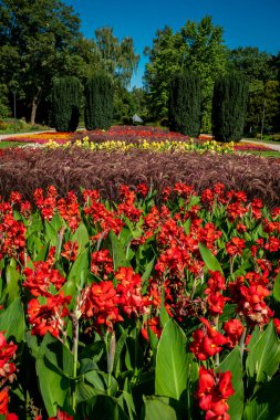 Bir çim ve çiçek bahçesi manzarası. güzel park