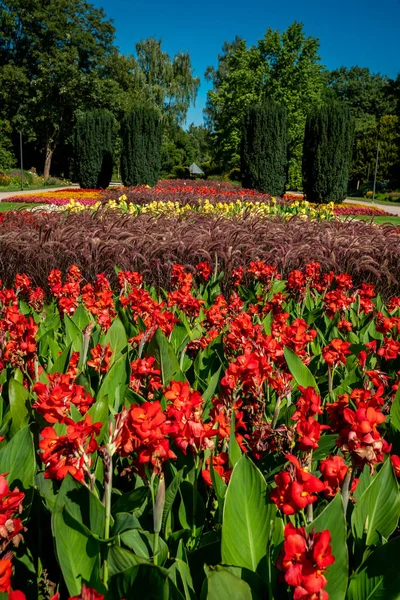 Una vista de un jardín de césped y flores. hermoso parque —  Fotos de Stock