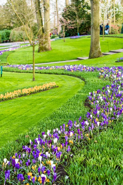 Hermoso jardín en primavera — Foto de Stock