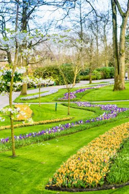 Hollanda 'daki Keukenhof Parkı 