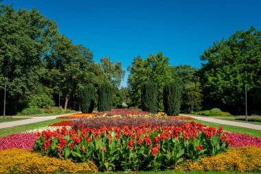 Bir çim ve çiçek bahçesi manzarası. güzel park