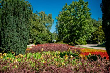 Bir çim ve çiçek bahçesi manzarası. güzel park
